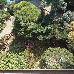 Bonsai Česká republika